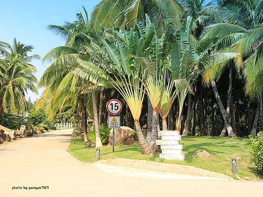 2014 三亞（個人主頁-ZMTI2NzUwMDA=） - 風(fēng)光攝影 - 站酷設(shè)計師randy7107原創(chuàng)素材 - 站酷ZCOOL