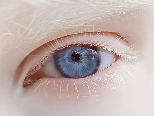 【画他个地老天荒】眼睛