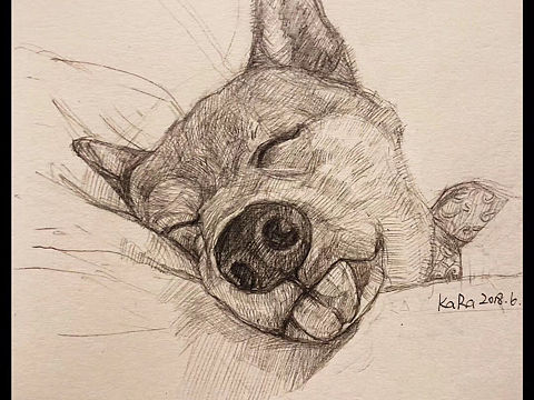 萌宠系列～（个人主页-ZMzMwODYzMjg=） - 创作习作 - 站酷设计师小小KaRa原创素材 - 站酷ZCOOL