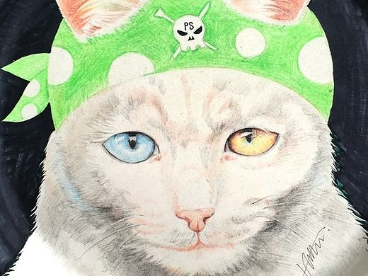 盘中画之海盗猫