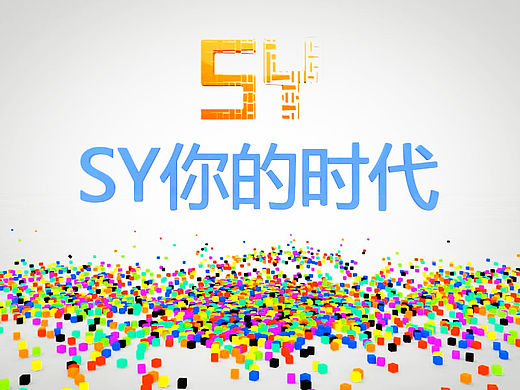 sy你的时代 我的sy包装