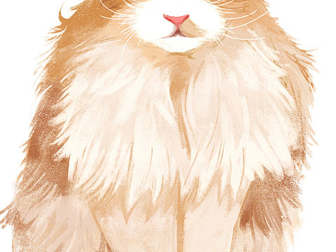 吸猫（个人主页-ZMjI3ODgxODg=） - 新锐潮流插画 - 站酷设计师zitao原创素材 - 站酷ZCOOL