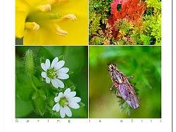 【春天依旧】我触摸到了春天,暮然回首,春天依旧…… 