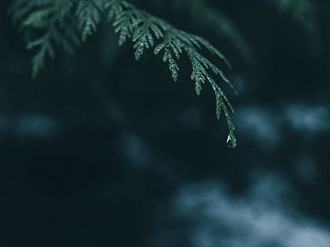 海报KV（个人主页-ZNDQzNDE1NDA=） - 海报 - 站酷设计师燕公子85号原创素材 - 站酷ZCOOL