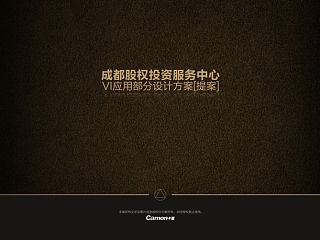 投资公司