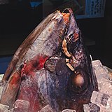 以前叫大东的头像