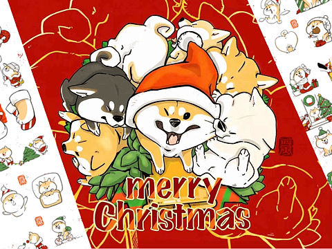 《阿柴枸杞》红红火火过圣诞篇