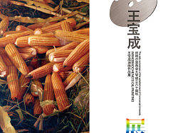 王宝成教授油画作品展