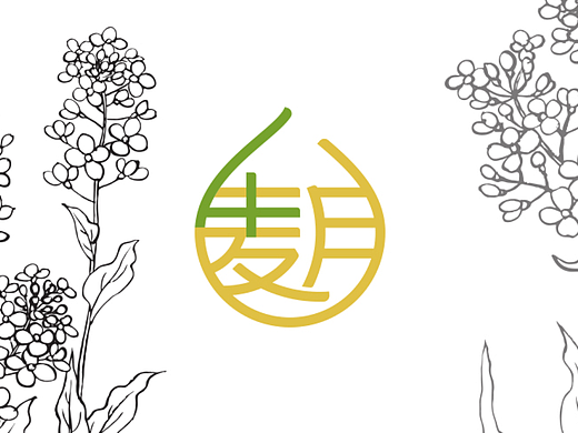 麦月古法压榨菜籽油