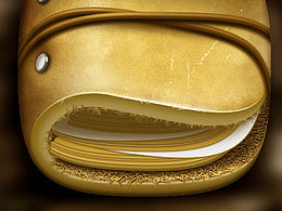 Icon练习——更新中