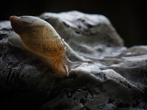 陰霾（個人主頁-ZMTU5OTQ3MTI=） - 風(fēng)光攝影 - 站酷設(shè)計師Miluliu原創(chuàng)素材 - 站酷ZCOOL