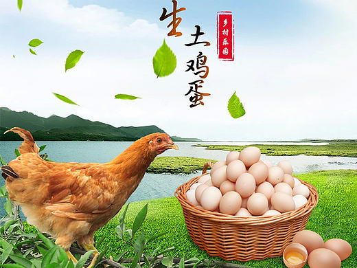 农家土鸡蛋详情页