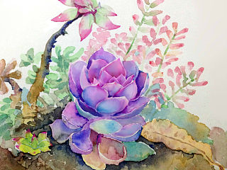 花卉