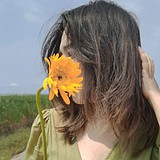 七二萌的头像