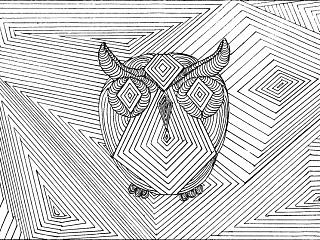 插画—猫头鹰