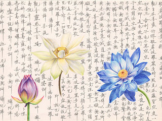 【《心经》和莲花】  手绘过程