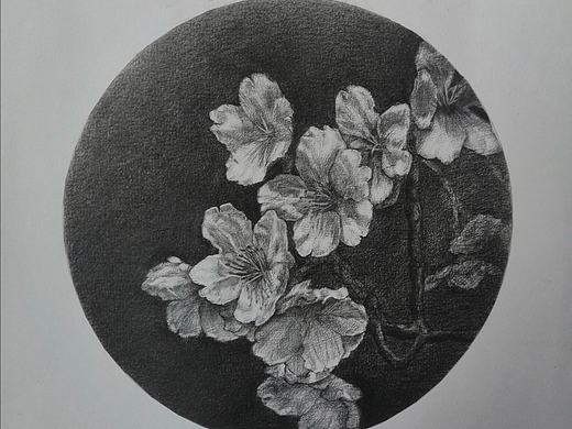 素描·鉛（個(gè)人主頁(yè)-ZNDQ2MzE4MDg=） - 繪畫(huà) - 站酷設(shè)計(jì)師靈感機(jī)器原創(chuàng)素材 - 站酷ZCOOL