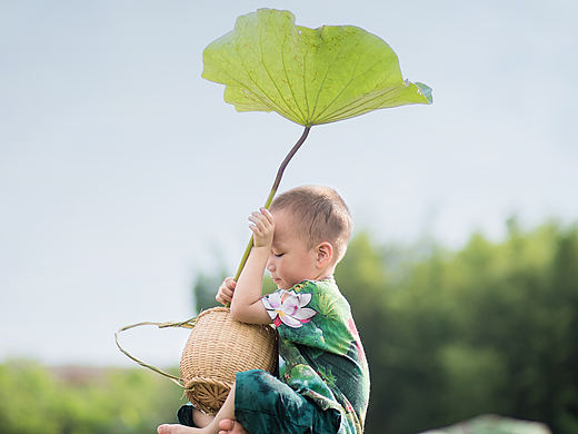 夏雨听荷
