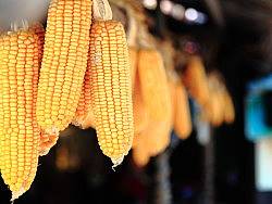 郭亮行-微风景篇