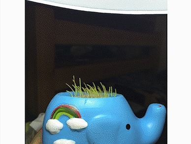 小草的一生（個(gè)人主頁-ZMTkyNDE1ODQ=） - 其他 - 站酷設(shè)計(jì)師妥寸原創(chuàng)素材 - 站酷ZCOOL