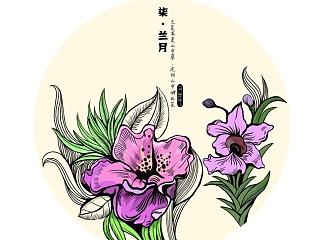 十二月令花-插画设计