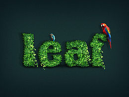 樹葉覆蓋文本效果