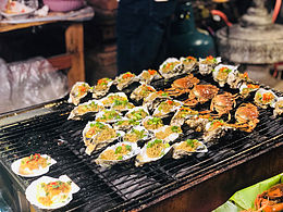 西双版纳📱食物与狗