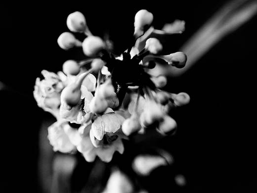 黑白之间（个人主页-ZMTcxODI3NjA=） - 风光摄影 - 站酷设计师来自地下原创素材 - 站酷ZCOOL