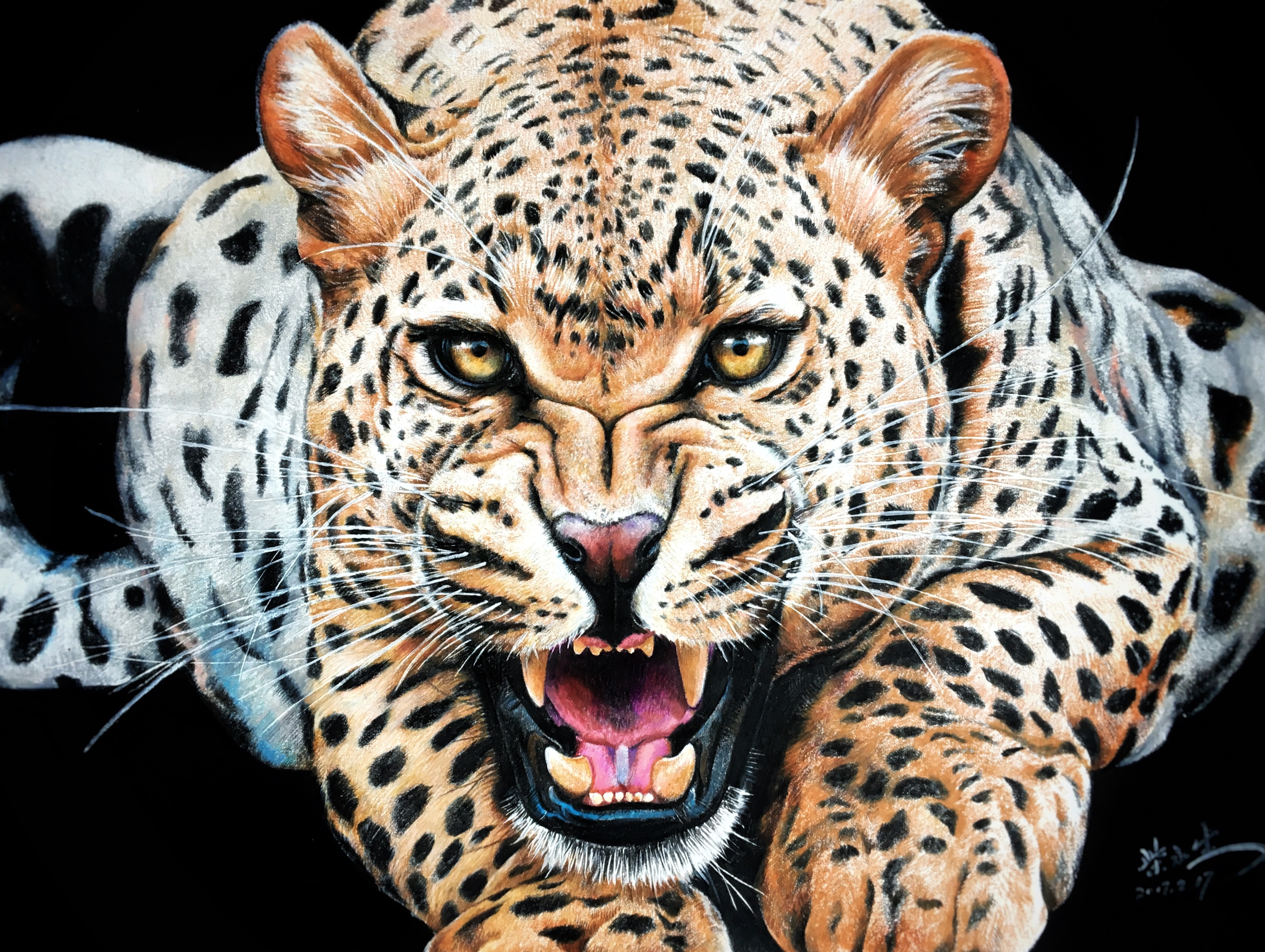 彩铅——金钱豹