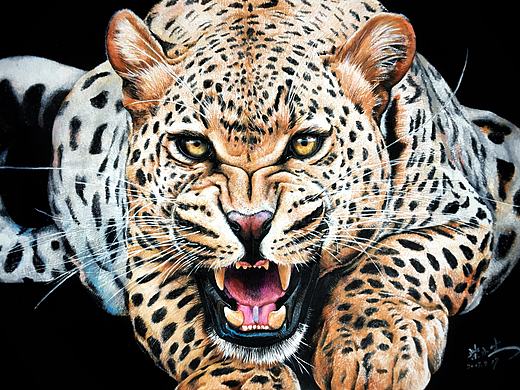 彩铅——金钱豹