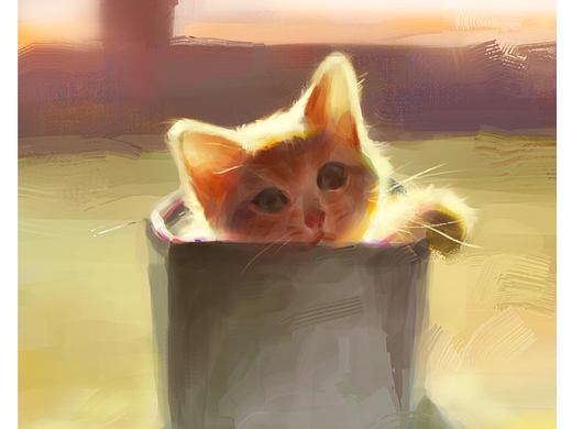 来一杯猫猫吗🐱