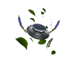 手表、香薰渲染