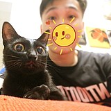 紧张不先生的头像
