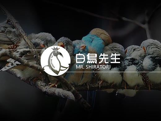 LOGO--白鸟先生