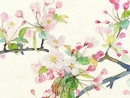 手绘花卉系列——《花之镜Ⅱ》