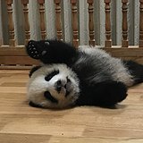 沉心的头像