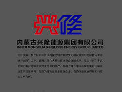 企业部分的部分VI