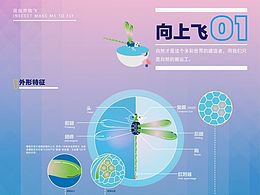 图表设计