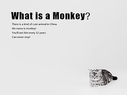 祝·酷友们“猴年快乐”