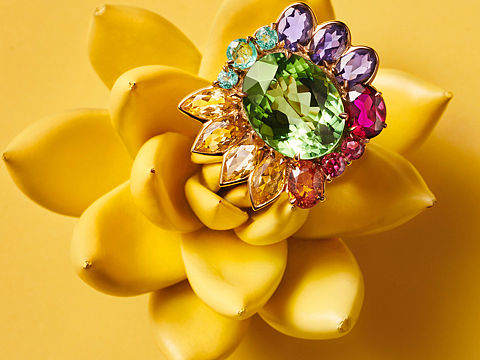 《芭莎珠宝》一组，for Dior