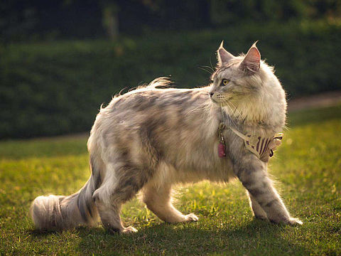 家有小调皮~~~~~