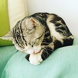 用户头像