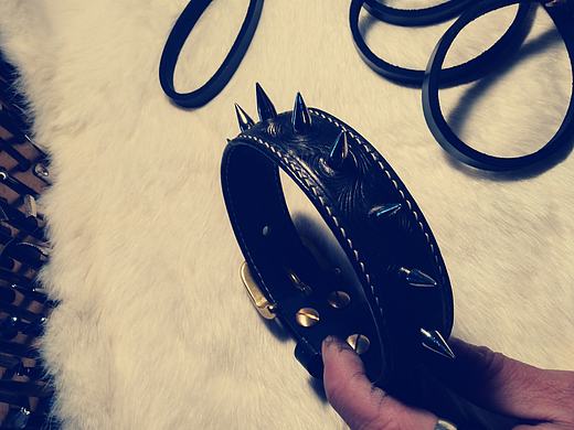 法斗项圈加牵引绳