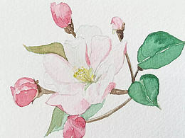 作為一枚孕媽，工作之余還能做什么？