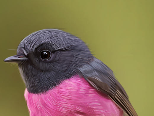 商业插画练习作品集