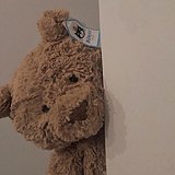 虎头虎尾的头像