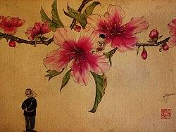 桃花行