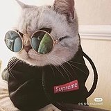 假装00后的头像