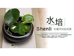 文案排版