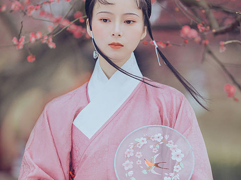 红梅姬
